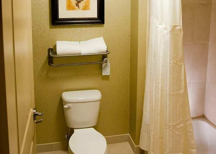 Hotel Homewood Lafayette-airport